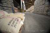 El café pierde fuerza en la economía colombiana y se proyecta una menor producción en 2026