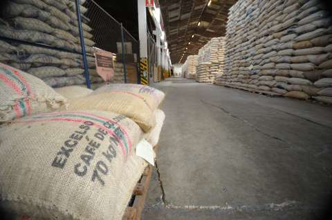 El café pierde fuerza en la economía colombiana y se proyecta una menor producción en 2026