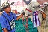 Esta es la programación de Expomalocas 2022 en Villavicencio