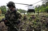 En cese al fuego con Farc, Fuerzas Militares seguirán combatiendo el crimen