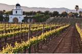 El México del vino