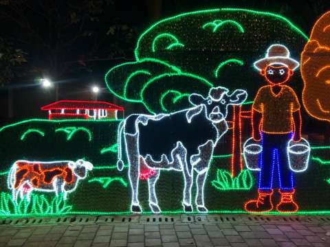 Cinco destinos imperdibles para ver alumbrados navideños en Colombia