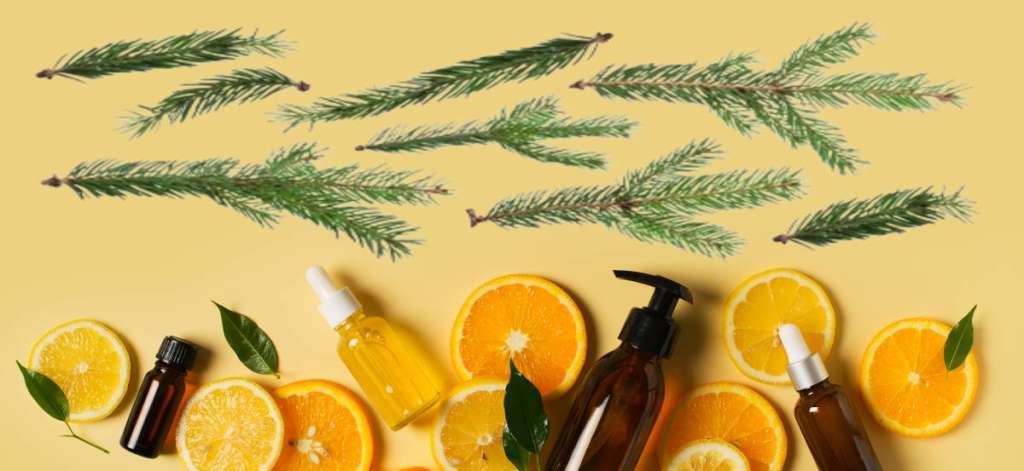 Aromatizantes naturales: Recetas con pino.