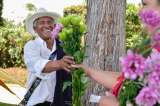 Conciertos, silletas y gastronomía: así se vive la Feria de las Flores en Comfama
