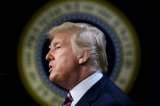 ¿Qué poder tiene el presidente Trump para ir a la guerra?