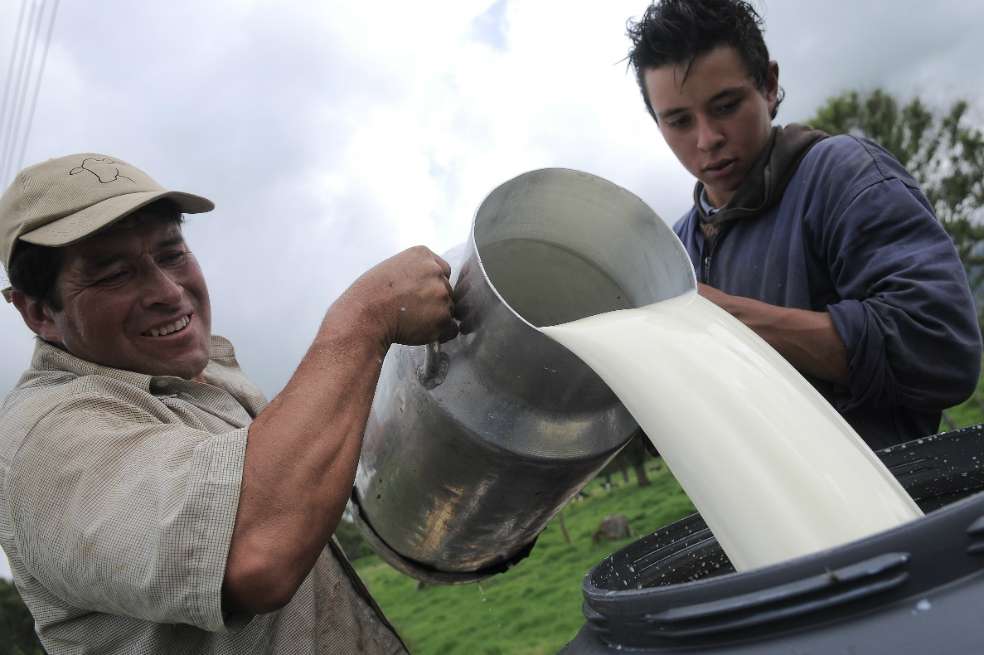 Asoleche dice que las importaciones de leche se han dado conforme a los contingentes libres de arancel contemplados en los acuerdos comerciales suscritos por Colombia. / Archivo