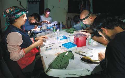 Tumbando estatuas: esfuerzos para descolonizar la ciencia en Colombia