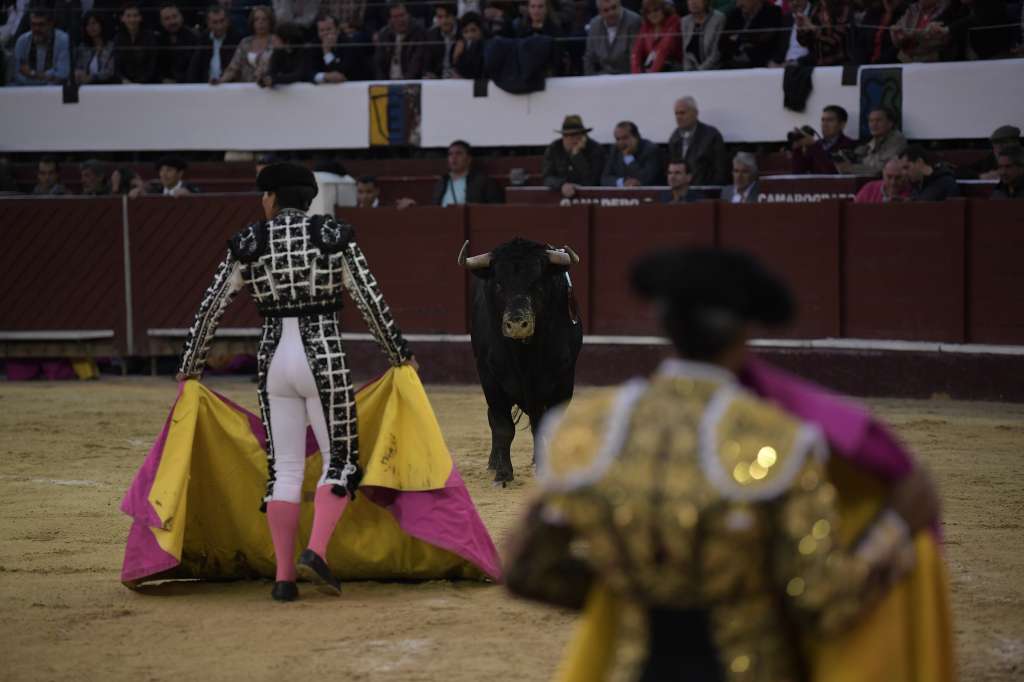 Corrida de toros en la plaza de Santamaría, rejoneadores, banderilleros y otros aspectos de esta.
