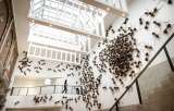 Las 700 hormigas de Rafael Gomezbarros toman el Rijksmuseum de Ámsterdam
