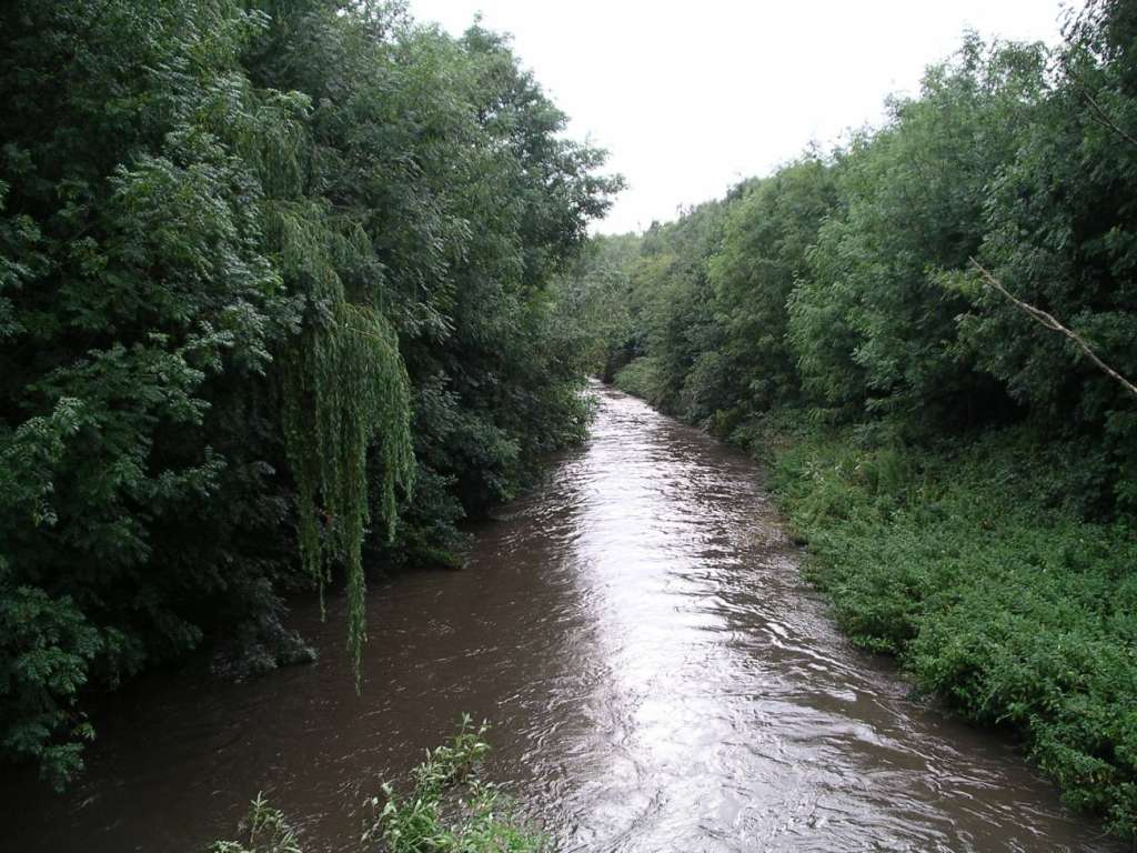 Los investigadores caracterizaron las comunidades microbianas halladas en la superficie de plásticos sumergidos en el río Sowe (Reino Unido).