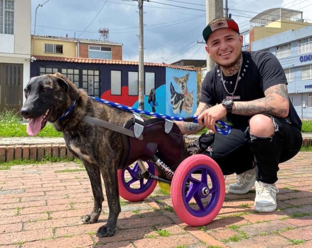 Super Mascotas