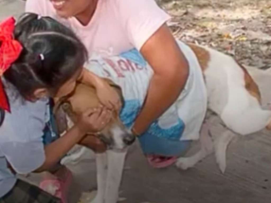 Mientras el procedimiento avanzaba, ella permaneció a su lado, transmitiéndole calma.