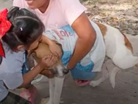Niña cubre los ojos de su perro mientras recibe una vacuna y conmueve en campaña gratuita