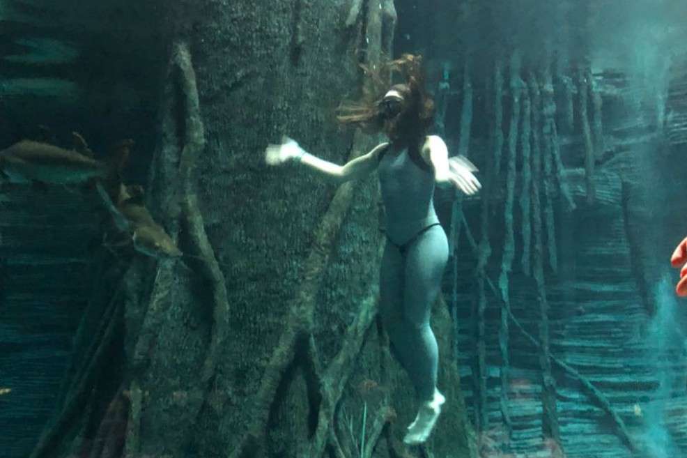 Sofía Gómez sumergida en el acuario de Parque Explora. / Camilo Díaz