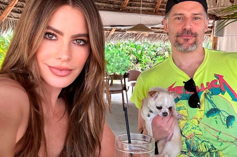 Sofía Vergara y Joe Manganiello: ¿quién se quedará con ´Bubbles´?