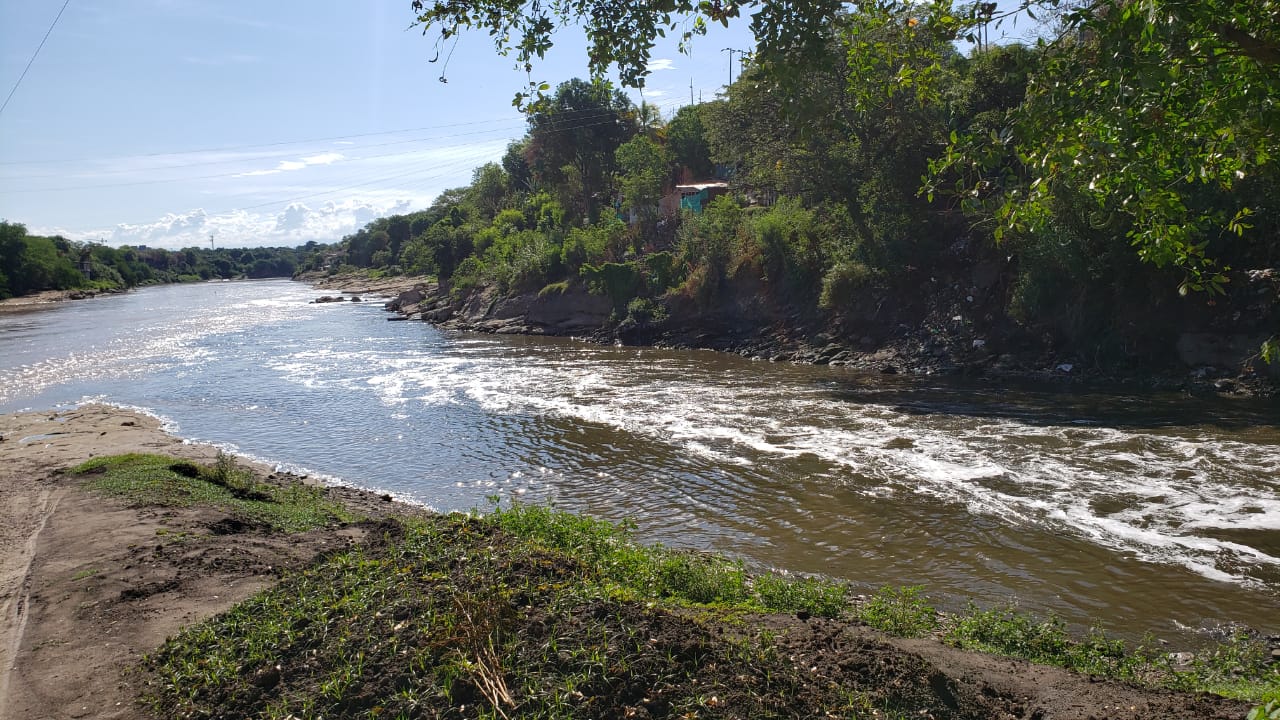 La cuenca del río Bogotá ocupa 589.143 hectáreas, donde habitan 542 especies de animales y 169 de plantas; 32% del PIB del país se genera allí.