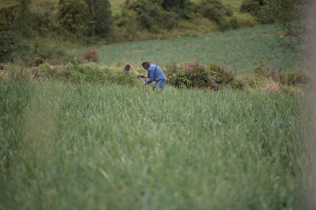 Corregimiento ubicado en una localidad de Pasto, Nariño.