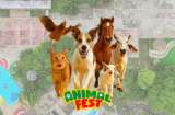 Prográmese para el Animal Fest Cartagena 2025: fechas y actividades