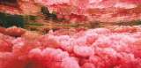 Los otros colores del turismo en Caño Cristales