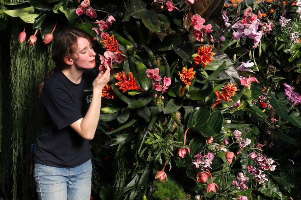 La estudiante Georgia Sellars posa al lado de una orquídea durante el 'Orchid Festival' en el Royal Botanic Gardens en Kew, Londres. / AFP