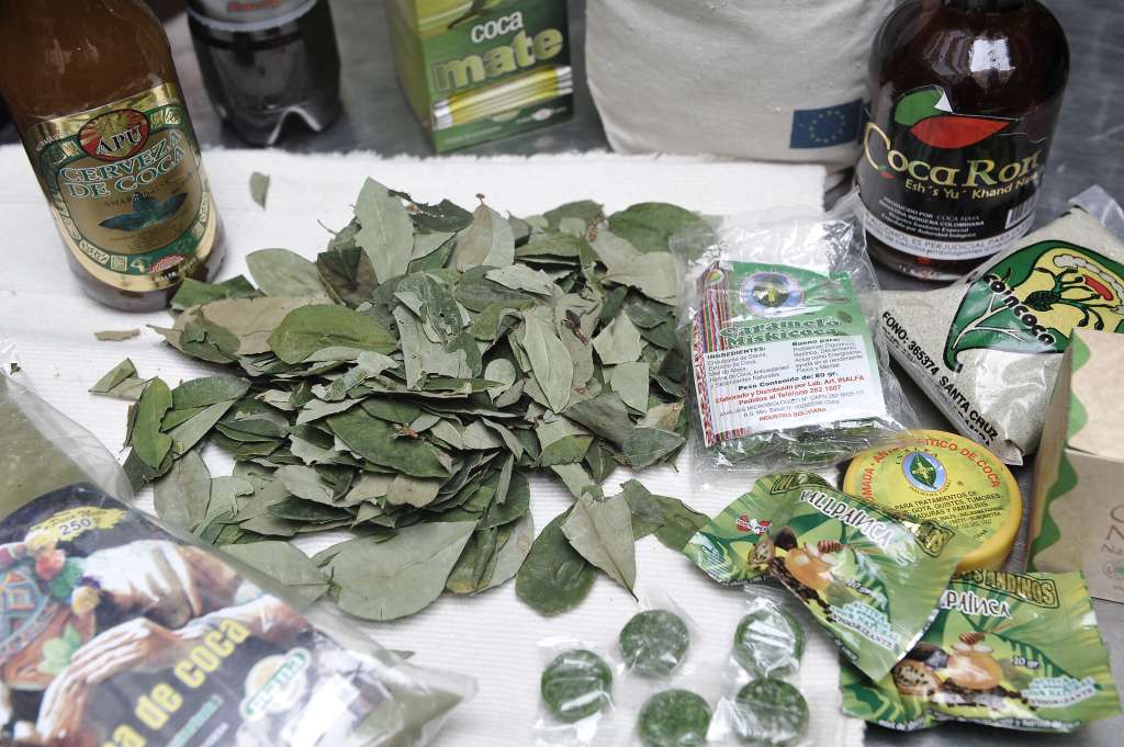 Exalcalde de San José del Guaviare, activista en favor de la hoja de coca, para uso alimenticio y medicinal; David Curtidor, administrador público, responsable de la empresa Cocanasa y Felipe Tascón, economista e investigador académico de la hoja de coca (izq-der).
