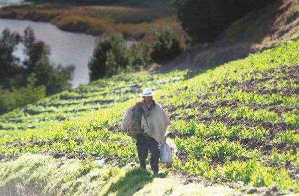 La Agencia Nacional de Tierras está empeñada en resolver el mayor número de conflictos que se presentan en el territorio colombiano por la tenencia de la tierra. / Archivo El Espectador
