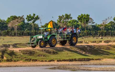 Conozca el Safari Llanero que está posicionando a Casanare como destino natural