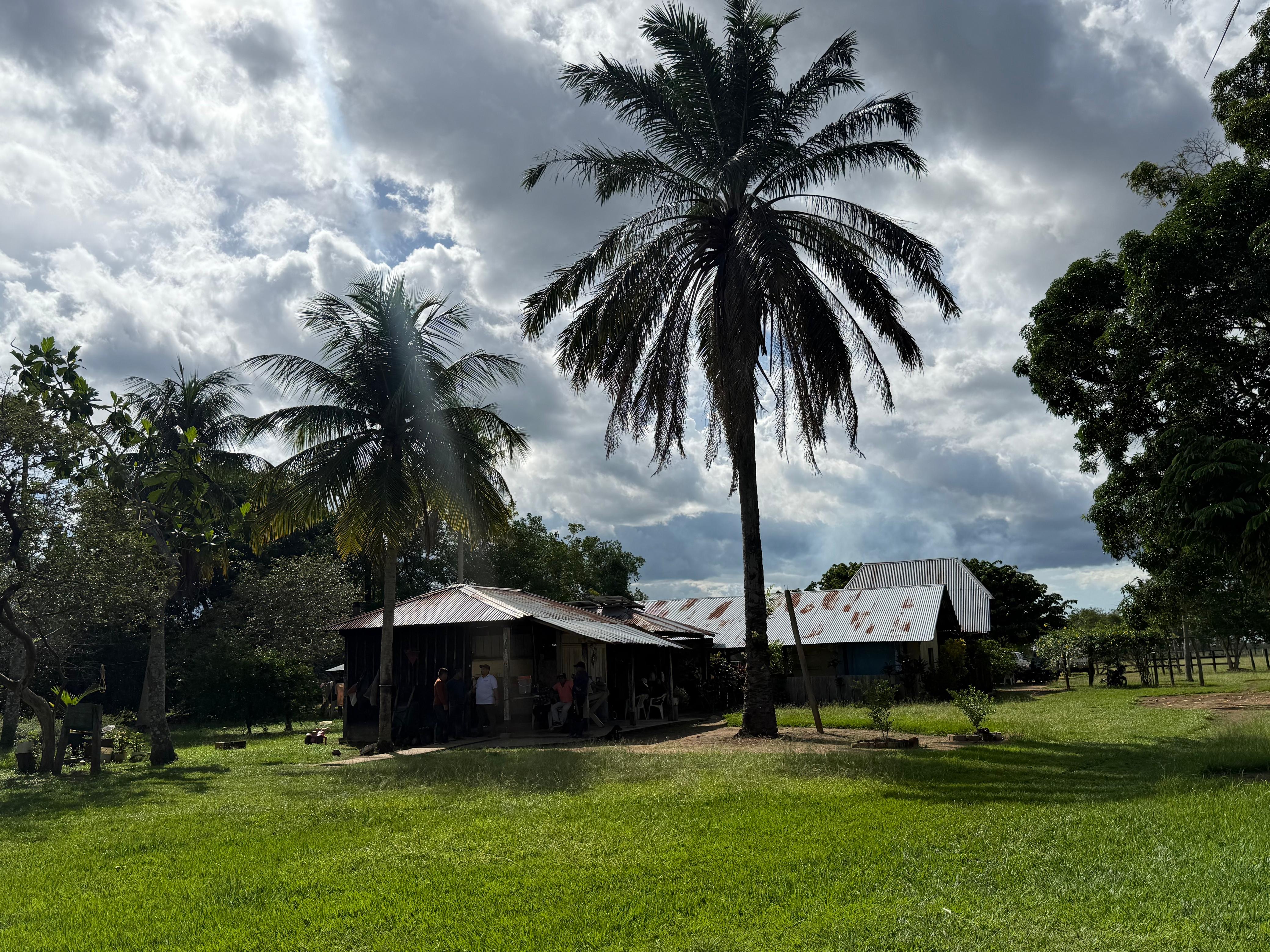 Finca Buenavista