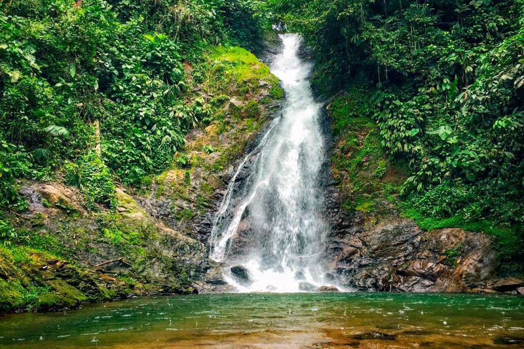 Reserva Natural Y Ecoturística La Avispa, uno de los destinos que ofrece Caqueta.Travel.
