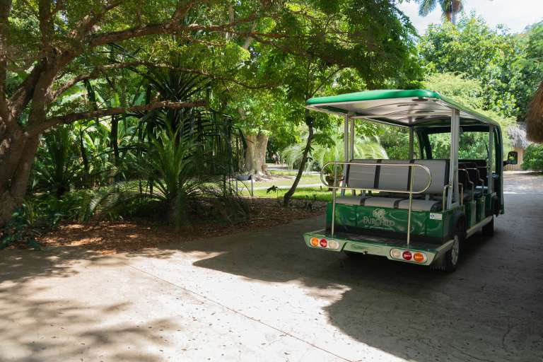 Turismo en Miami, naturaleza, Fairchild Tropical Botanic Garden