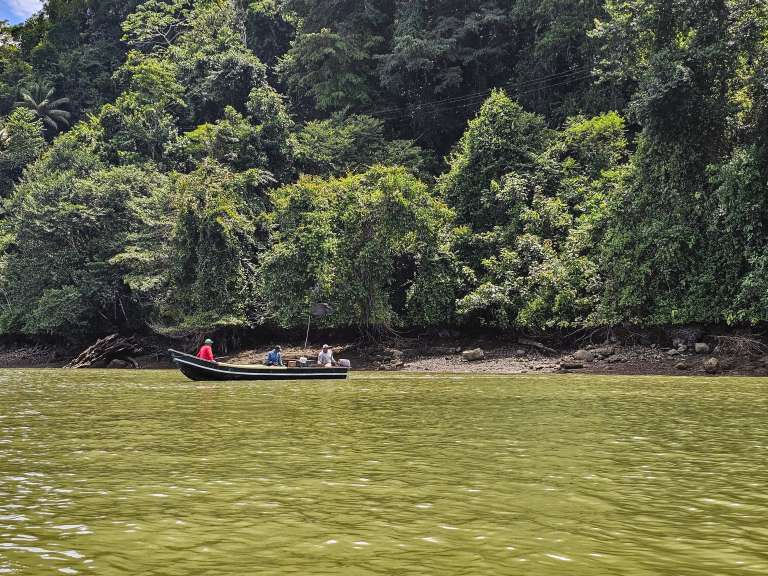 Hoteles, restaurantes, guías, lancheros, la pesca artesanal, la ganadería e incluso las artesanías giran alrededor de quienes llegan a descubrir este rincón del Pacífico colombiano.