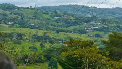 Encuentran un cuerpo desmembrado en zona boscosa de La Cumbre, Valle