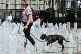 Julio de 2019, el más caliente registrado en Europa