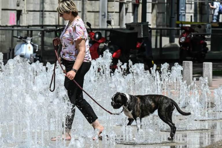 Europa alcanzó récord en sequías y temperatura durante 2022