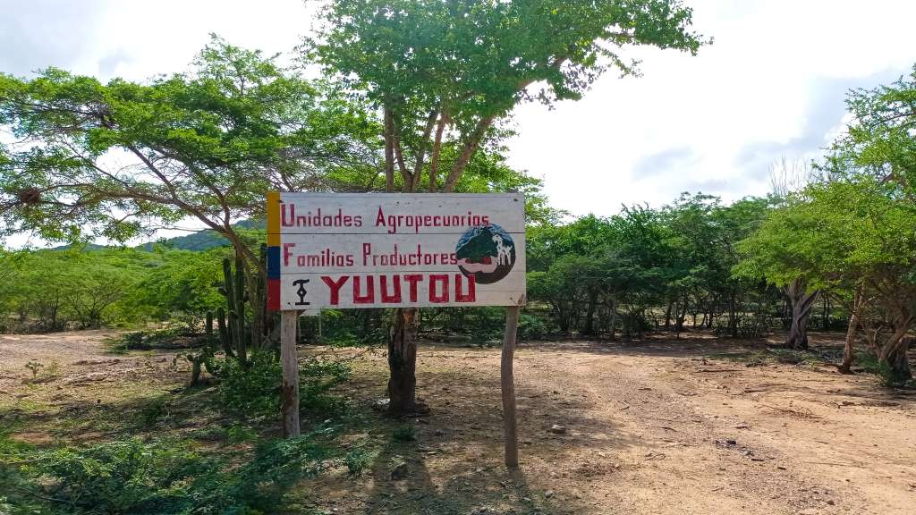 En La Guajira los reporteros de la emisora de paz de Fonseca han documentado iniciativas agroecológicas que combaten el hambre en ese departamento.