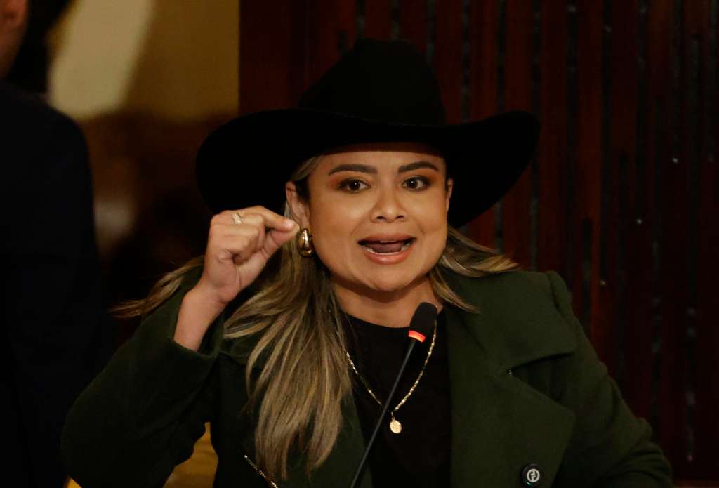 Lina Garrido es la actual directora de la Agencia Nacional de Tierras (ANT).
