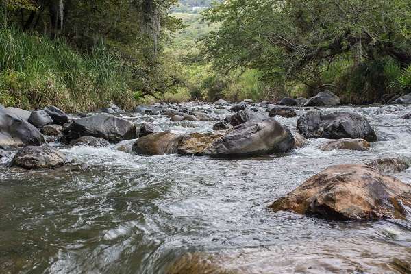 río Pance
