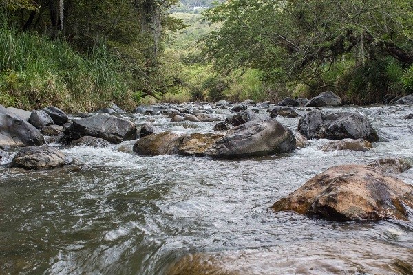 Joven murió ahogado durante paseo familiar en el río Pance, en Cali