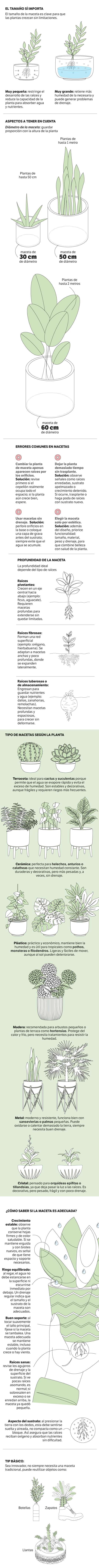 Todo lo que debe tener en cuenta para elegir las macetas