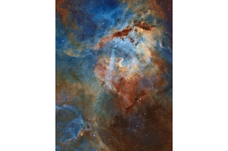 "La perseverancia y la resistencia de los astrofotógrafos es lo que realmente nos hace destacar en el campo de la fotografía. He aquí una imagen que realmente pone de manifiesto la aplicación necesaria, especialmente cuando nos centramos en el cielo profundo. Este fotógrafo ha dedicado muchas horas y ha estudiado su oficio para crear una bella imagen de este campo de nebulosidad. Con colores sutiles pero variados en toda la paleta, las oscuras y retorcidas líneas de polvo se resuelven con exquisito detalle y las estrellas son perfectamente redondas, sin rastro de estelas. Todo esto de un recién llegado a la afición. Demuestra que, incluso en las primeras etapas de la astrofotografía, no hay límites a lo que podemos conseguir", dijo Steve Marsh, uno de los jueces.