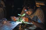 Así son las expediciones para descubrir las plantas y hongos útiles de Colombia