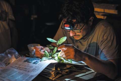 Así son las expediciones para descubrir las plantas y hongos útiles de Colombia