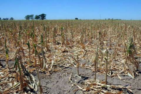 En medio de campaña electoral, Perú se prepara para afrontar fenómeno de El Niño