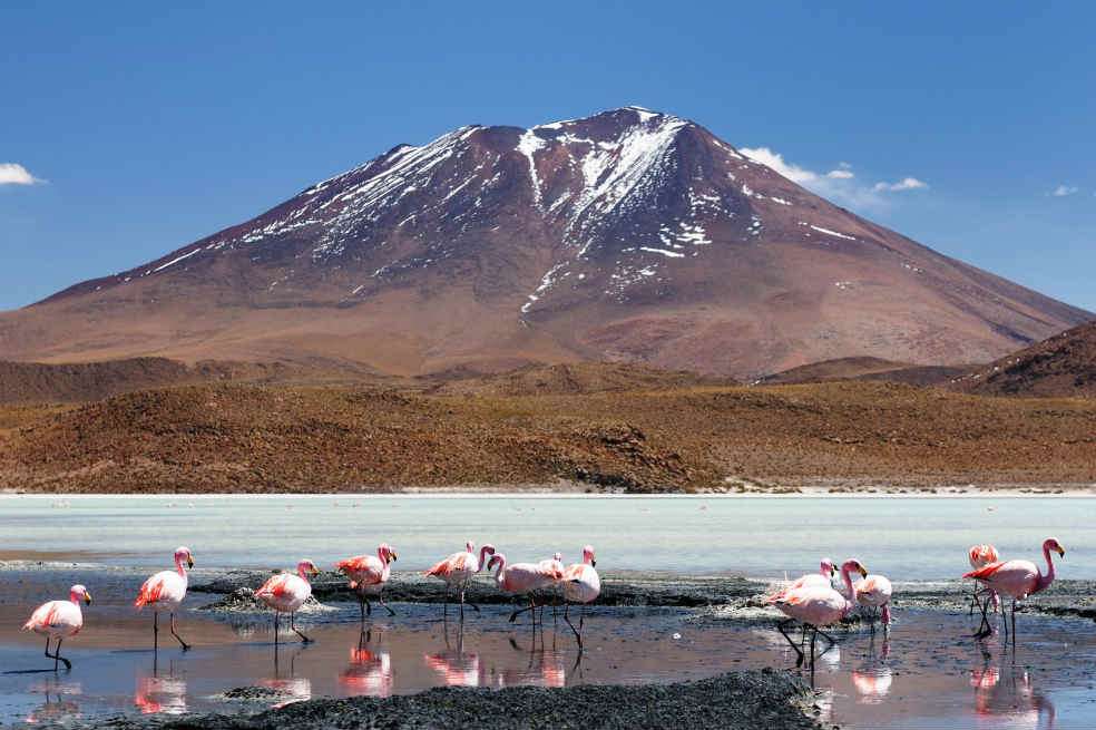 La laguna Colorada es también conocida como el Nido de los Andes, ya que en sus orillas anidan más de 30.000 flamencos de tres especies diferentes. /123rf
