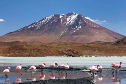 Nieves de sal en los Andes