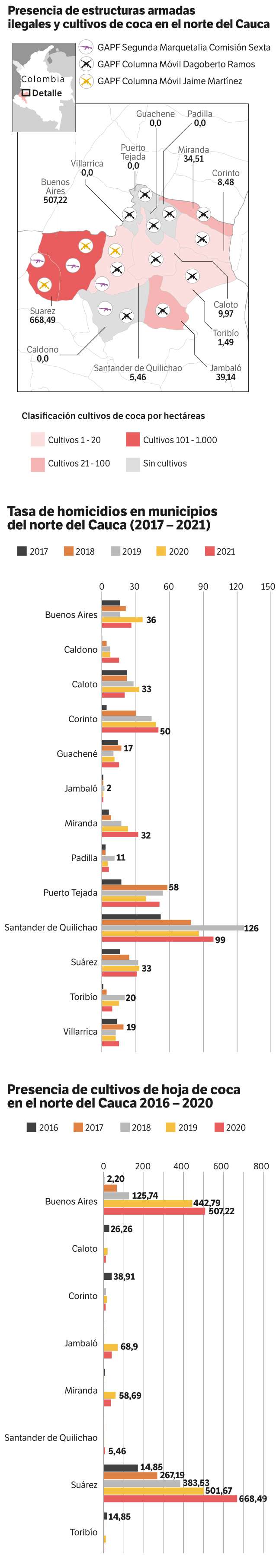 Grupos armados ilegales, homicidios y cultivos ilícitos en el norte del Cauca.
