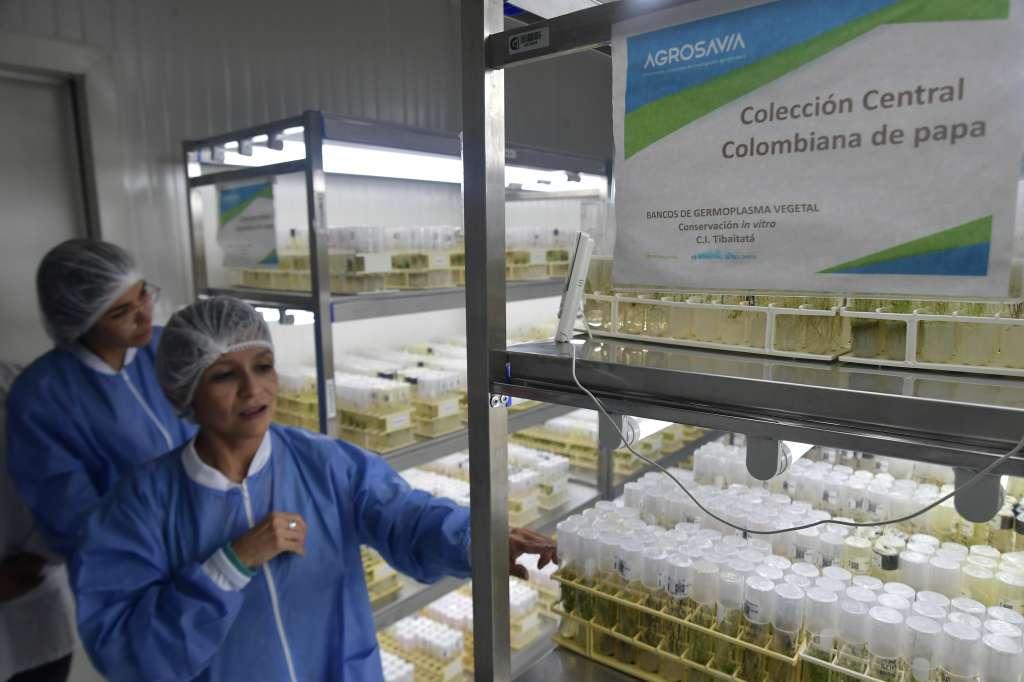 Entidad de ciencia, tecnología e innovación ubicada en el municipio de Mosquera, que contribuye al cambio técnico para mejorar la productividad y competitividad de la agricultura en Colombia.