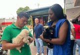 Multan a 60 personas por venta ilegal de mascotas en Bucaramanga