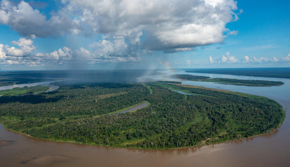 Las soluciones basadas en la naturaleza tienen el potencial de maximizar los servicios ecosistémicos que brinda la Amazonia.