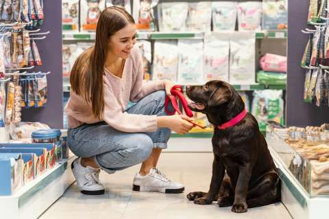 ¿Lugares petfriendly? Le contamos cuándo su perro disfruta estos espacios